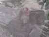 imag0042