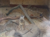 imag0044